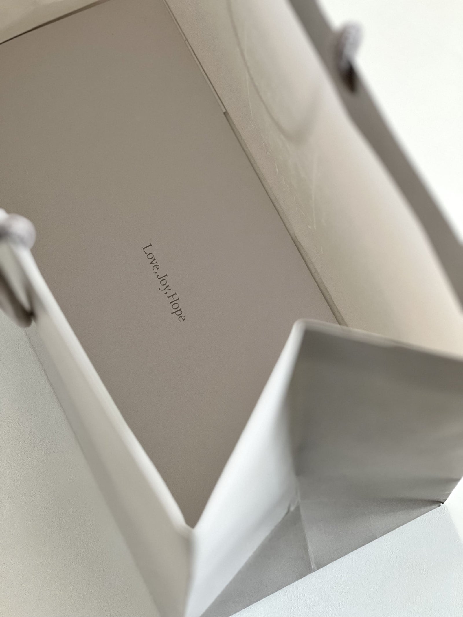 LARGE PAPER BAG – LANDHAUS